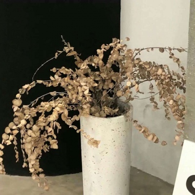 兽设赛博风格设计兽圈群